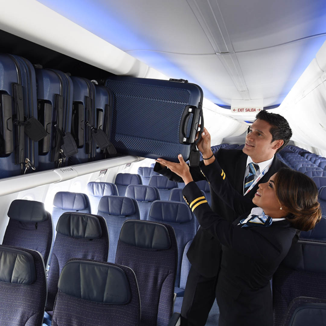 MAIN CABIN